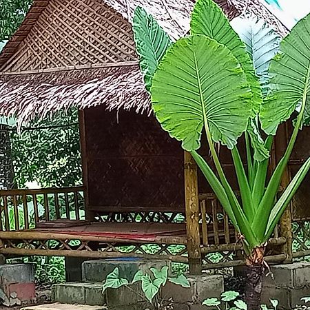 Apartament Khai Jungle Experience Camp & Tour Khao Sok National Park Zewnętrze zdjęcie